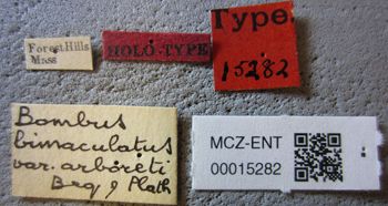 Media type: image;   Entomology 15282 Aspect: labels